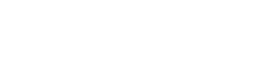 white horizontal logo Sun Valley Investment